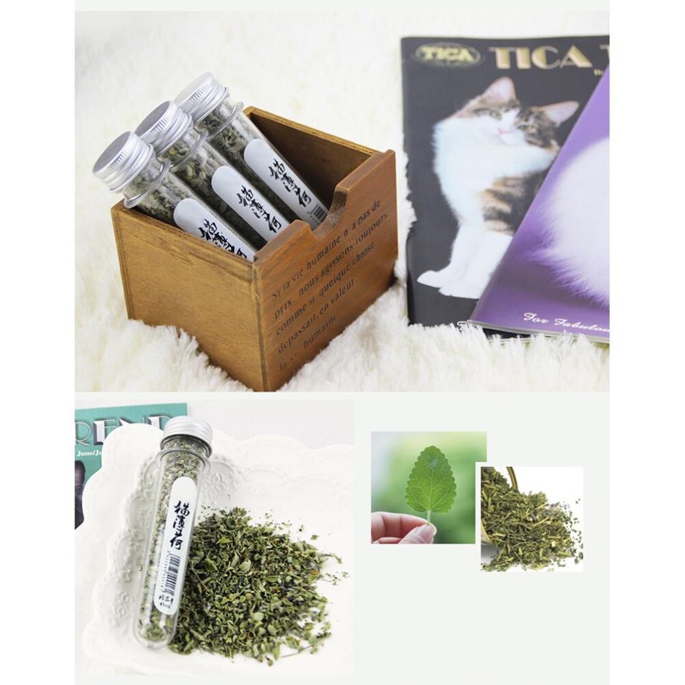 CỎ BẠC HÀ MÈO - CATNIP NHẬP MĨ 40ML - VIDEO TỰ QUAY