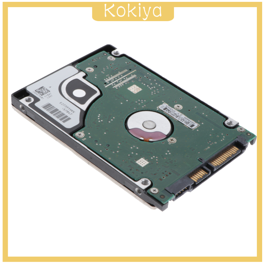 Ổ Cứng Ngoài Dung Lượng 2.5 Inch 320gb Sata 2 8m 5400rpm