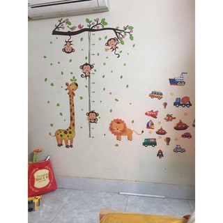decal dán tường đo chiều cao