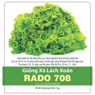Hạt Giống Xà Lách Xoăn Xanh - Rau Xà Lách Xoăn Xanh Chịu Nhiệt Dễ Trồng, Giàu Chất Dinh Dưỡng - Gói 5 Gram