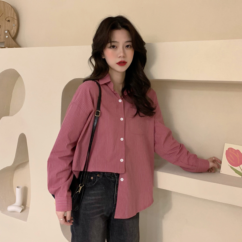 Áo Sơ Mi Nữ Tay Dài Họa Tiết Kẻ Sọc Đơn Giản Thời Trang