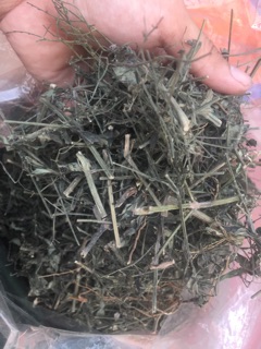 1kg Bạch hoa xà thiệt thảo (khô, sạch, mới)