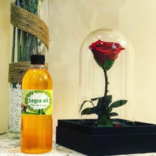 TINH DẦU SẢ QUẾ