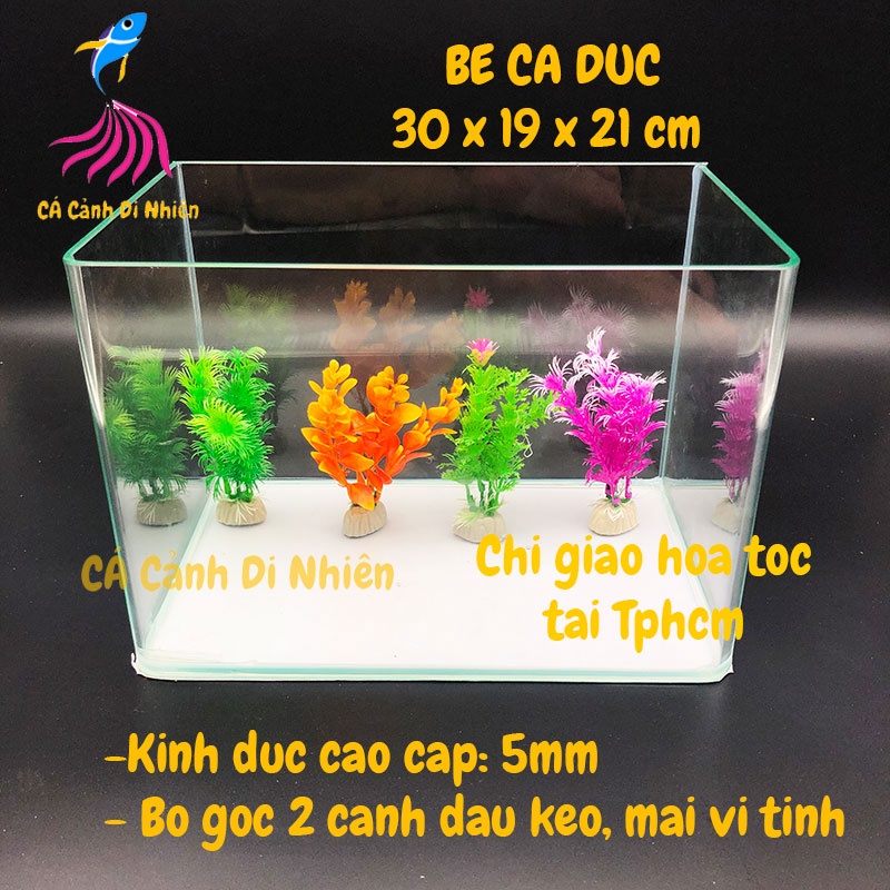 Bể kính đúc mini để bàn 2 cạnh uốn cong, hồ nuôi cá size 30x19x21 cm