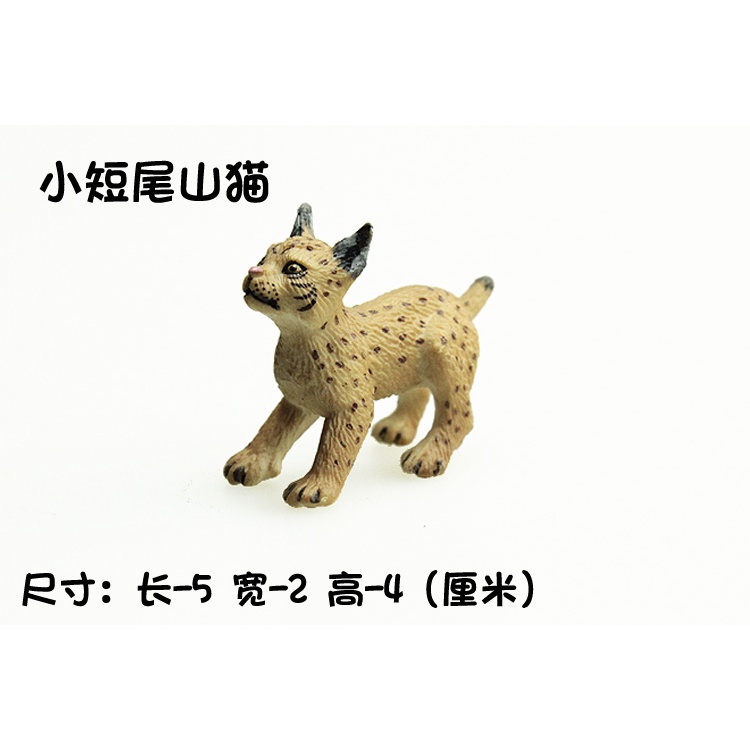 Boys and Girls Birthday Gifts Children's Simulation Solid Wild Animal Model Zoo Toys Bobcat Lynx