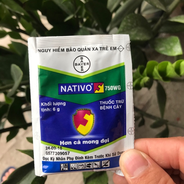 NATIVO 750WP thuốc trừ bệnh cây