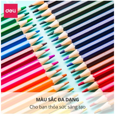Bút chì màu chuyên nghiệp dạng cốc Deli 24 màu - 68123