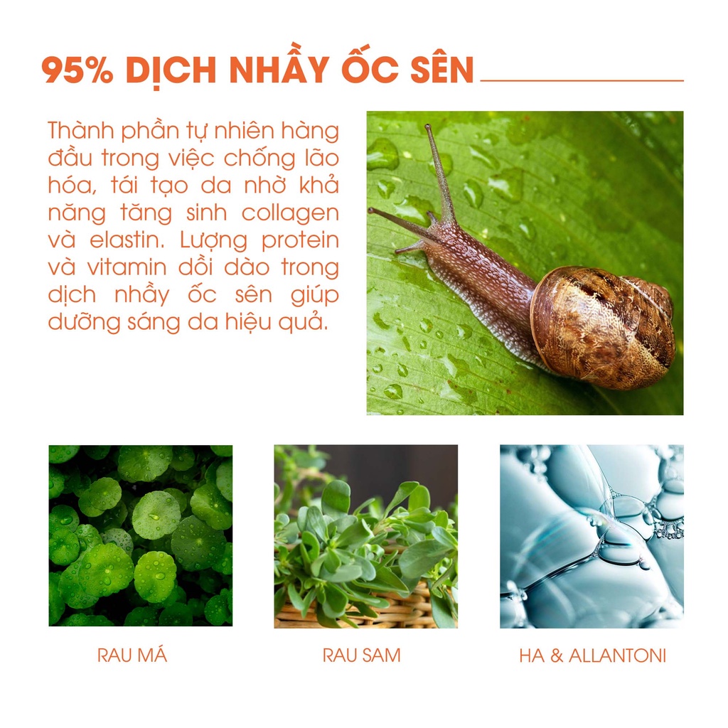 Gel Dưỡng Ốc Sên Ngừa Nếp Nhăn, Tái Tạo Da Snail Firming & Moisture Soothing Gel 300ml