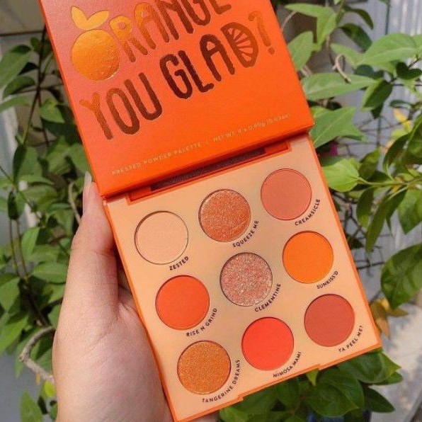 Bảng Phấn Mắt Colourpop Orange 9 Ô You Glad Pressed Powder Palette  tone cam vàng cực xinh chính hãng HALOMI