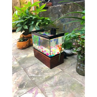 Bể cá mini 25 cm với 4 món (bể cá, sỏi nền, thức ăn , cây nhựa mini)