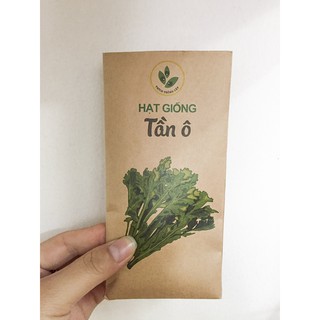 Hạt giống rau Tần ô (Rau cải cúc)
