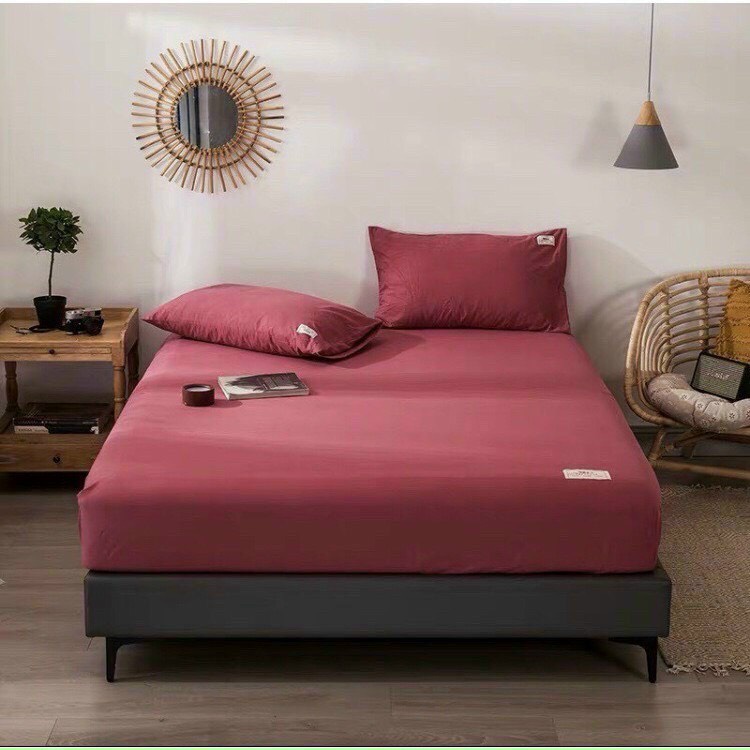 BỘ GA GIƯỜNG COTTON TICI 3 MÓN MÀU TRƠN PHONG CÁCH HÀN QUỐC