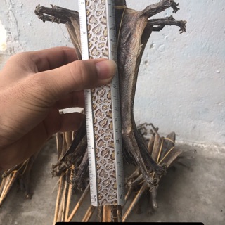 1 cặp tắc kè khô size 22cm -25 cm