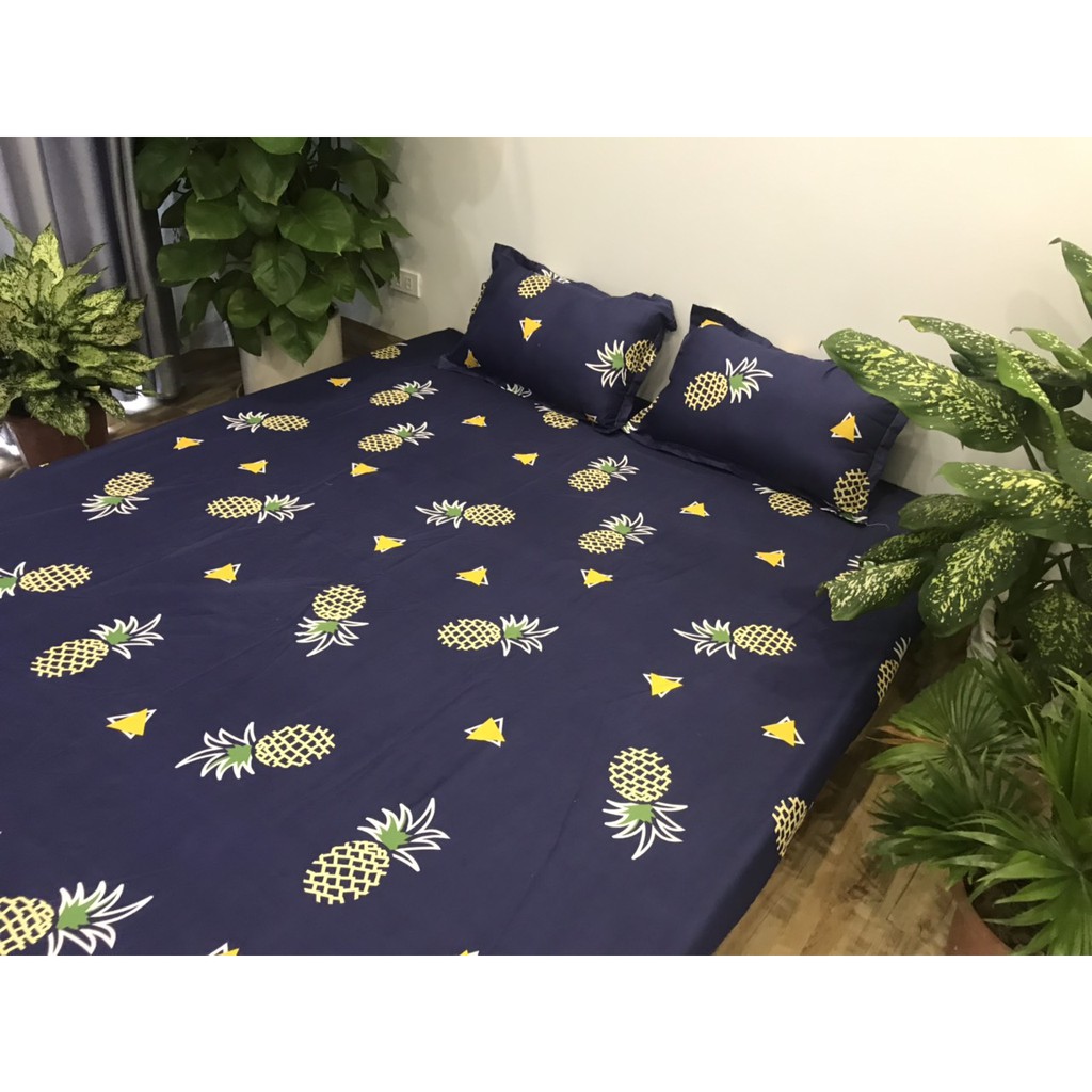 Bộ ga chun và 2 áo gối nằm Emmidecor - mẫu dứa xanh, drap cotton poly