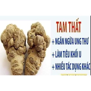 Củ tam thất Bắc 500g loại 70 củ