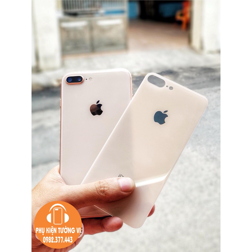 Kính Cường Lực Mặt Sau Cho IPhone Từ 6 Tới iPhone 11 Pro Max