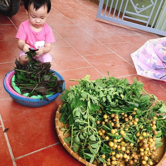 Mật ong nguyên chất