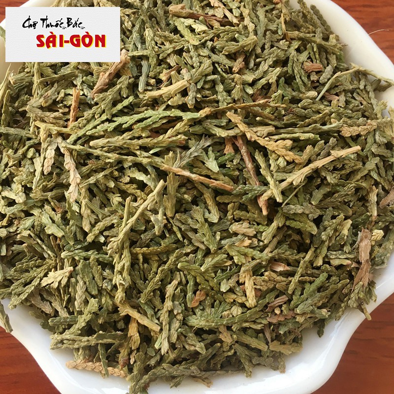 Trắc Bá Diệp 100g