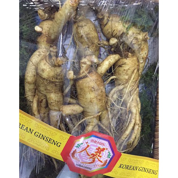 Nhân sâm tươi 6 năm tuổi 6 củ/ Kg-PP bởi Sâm Yến Thái An | BigBuy360 - bigbuy360.vn