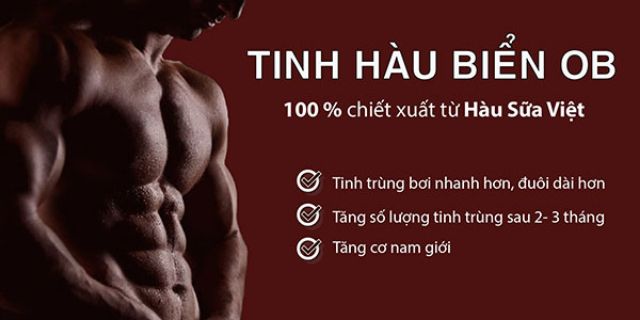 TINH HÀU BIỂN OB