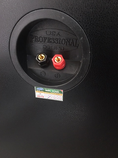 Loa cây Nanomax S225 vỏ gỗ bass 25 công suất 450w/loa