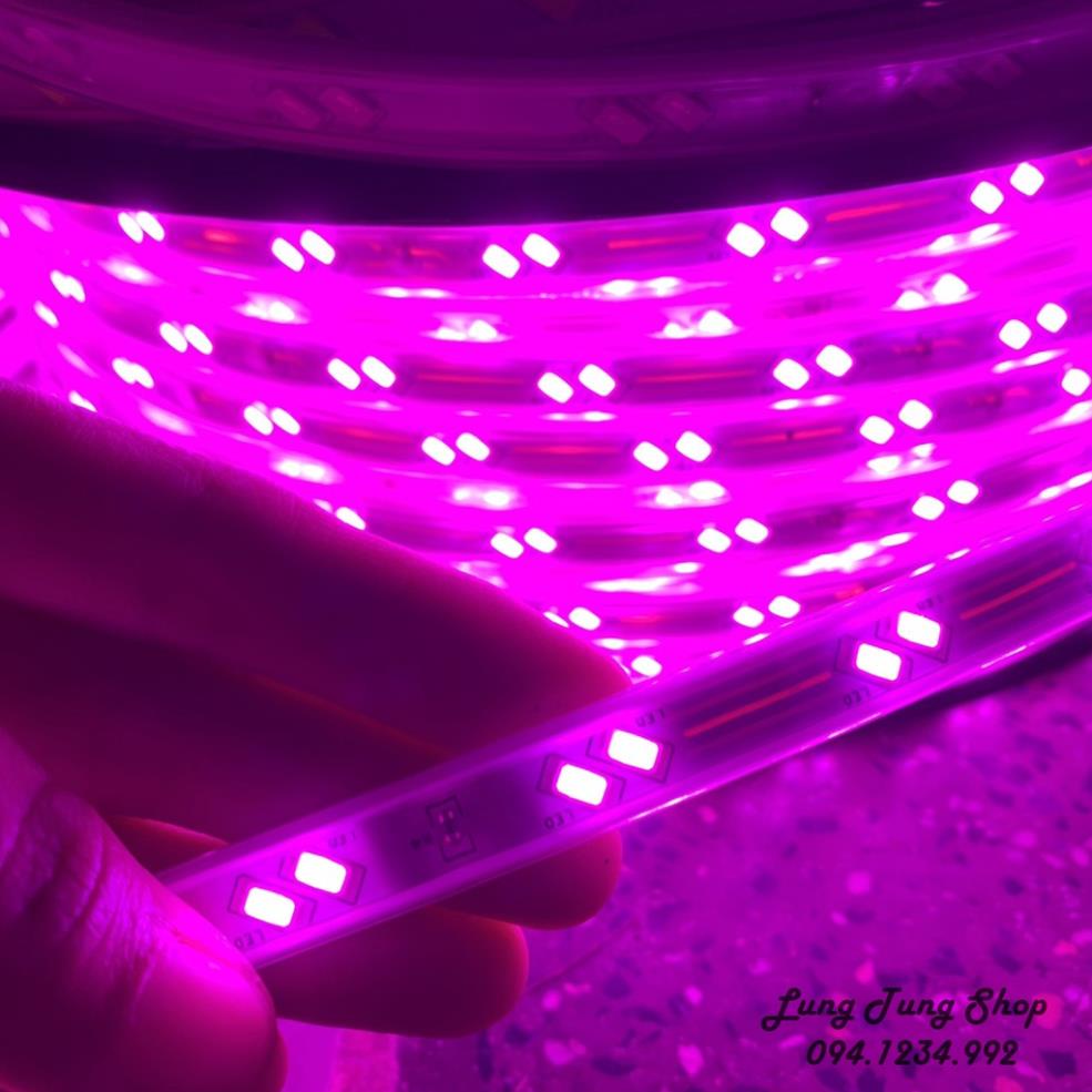 Đèn led dây màu hồng tím loại đôi 2 bóng siêu sáng chống nước