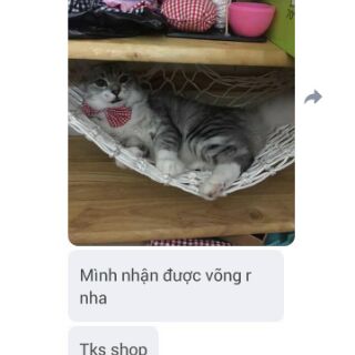 Võng đan dây cho Mèo