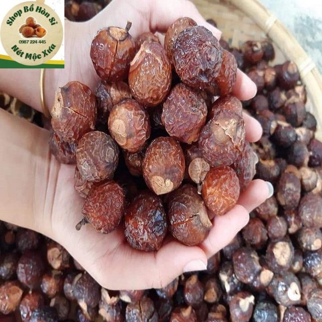 Bồ hòn - quả bồ hòn tách hạt loại 1 (1kg)