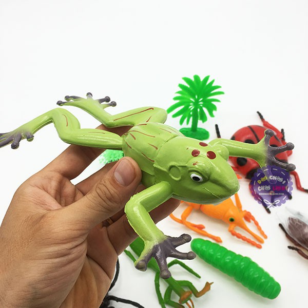 Bộ đồ chơi mô hình các loài côn trùng đại THÀNH LỘC bằng nhựa