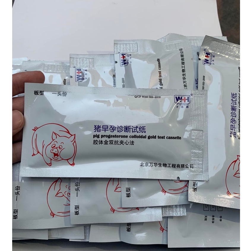 Que Thử Thai Cho Lợn, Độ Chính Xác Cao 90%  Hàng Chuẩn Công Ty