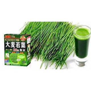 Trà Lúa Non Nguyên Chất Yamamoto Nhật