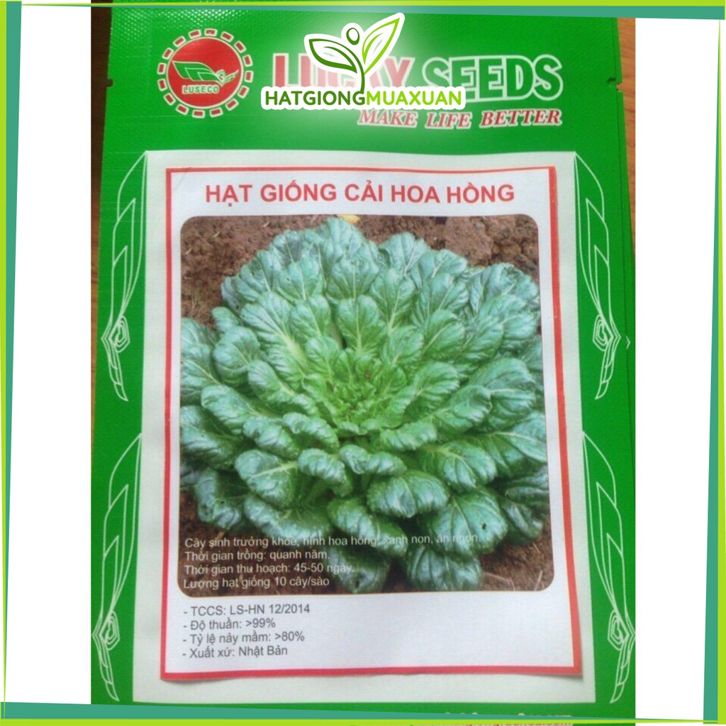 Hạt giống Cải Hoa Hồng F1 LUCKY SEEDS
