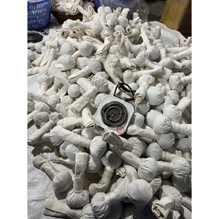 CÂY MUỐI CHƯỜM MẮT THẢO DƯỢC