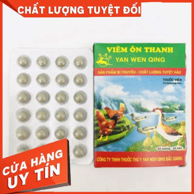 COMBO VIÊM ÔN THANH VÀ FLOSAL D