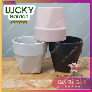 Chậu Túi Giấy Trồng Cây Để Bàn, Sen Đá, Xương Rồng