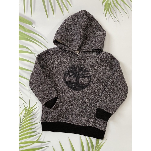 Áo khoác hoodie, nỉ bé trai G.A.P xuất dư xịn cho bé từ 12m-5y.