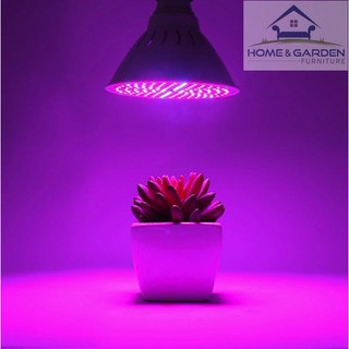 Đèn led trồng cây trong nhà, led trồng cây công nghiệp và hộ gia đình công suất 6W siêu hot mới 2018