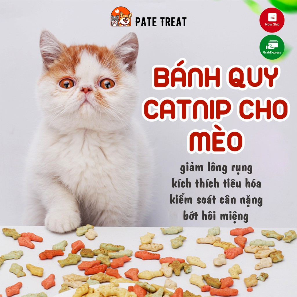 Treat Bánh Thưởng Cho Chó Mèo Bánh Quy Catnip Cho Mèo PATE TREAT 30gr Thức Ăn Cho Chó Mèo Thú Cưng