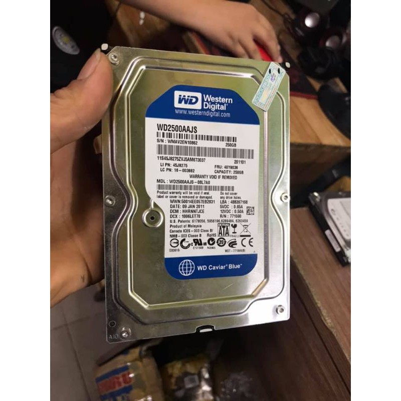 Ổ Cứng HDD 250GB WB Blue SATA 7200rpm  BH 01 năm - Hỗ Trờ Cài Sẵn HĐH