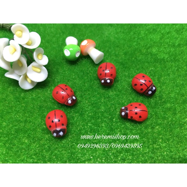 Túi 5 con bọ cánh cam tiểu cảnh/terrarium/trang trí