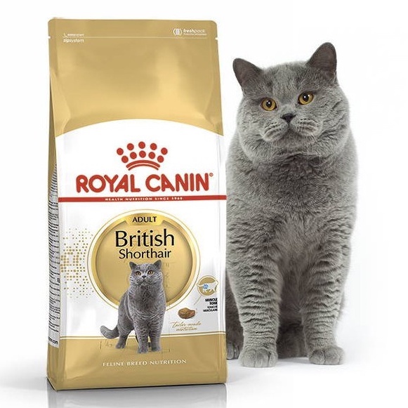 Royal Canin British Hair Túi 2kg - Hạt Cho Mèo Anh Lông Ngắn