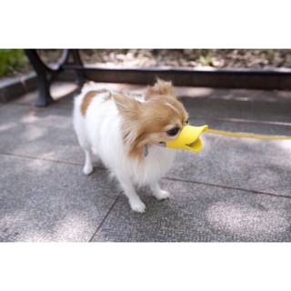 Rọ mõm mỏ vịt cho chó