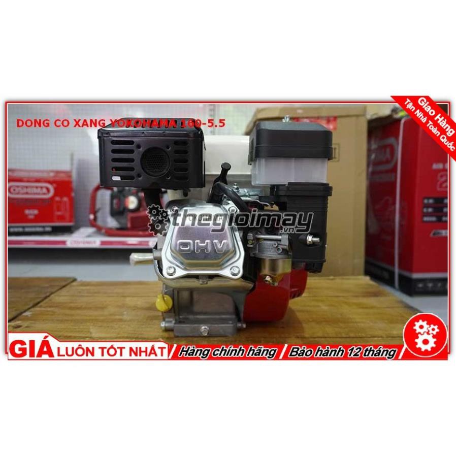 Máy Nổ Động Cơ Xăng Yokohama 5.5hp