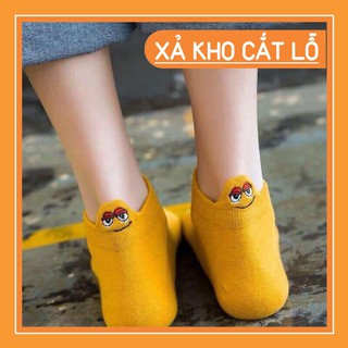 Tất thêu nữ cổ ngắn – hàng cao cấp – combo 5 đôi