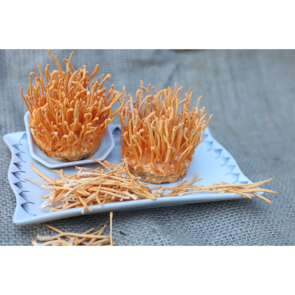 Đông trùng hạ thảo (loại túi zip 25g)