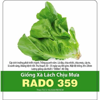 Hạt giống Xà Lách Chịu Mưa Rado 359 Rạng Đông, Trồng Quanh năm, Lá Chịu Dày, Chịu Mưa, Nhiệt, Kháng Bệnh Tốt