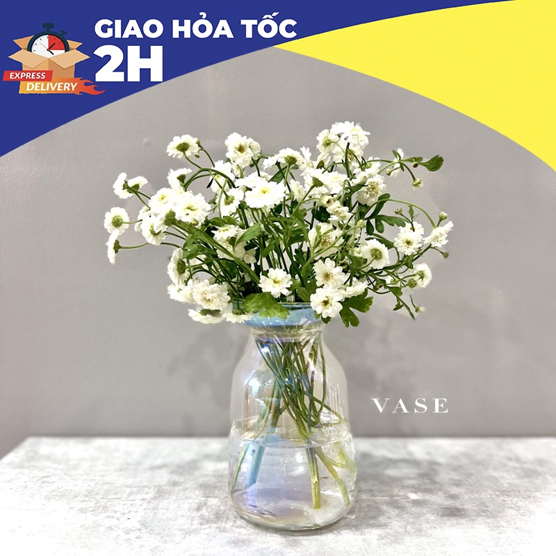 Bình hoa thủy tinh trong ánh cầu vồng rẻ đẹp - dễ cắm hoa