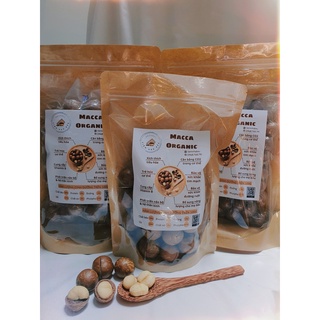 Hạt MACCA ORGANIC - MACCA SẤY NỨT VỎ 500gr  (size trung)
