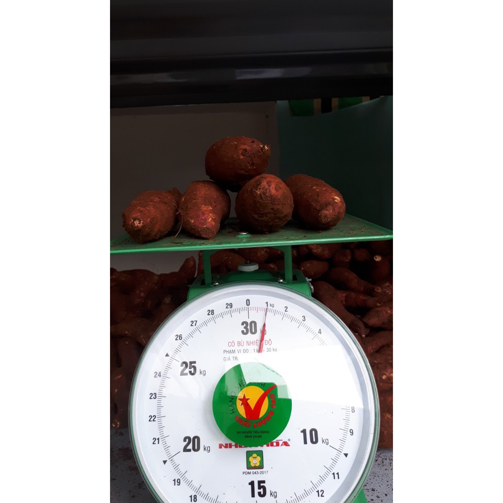 Khoai lang mật Tà Nung - Đà Lạt quy cách 1kg | BigBuy360 - bigbuy360.vn
