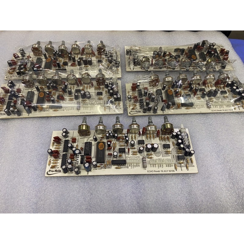 Bo Echo Reverb ProMein